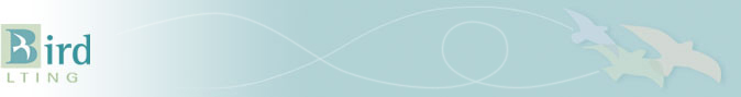 Facilitation, Planning, Executive Transition and Training